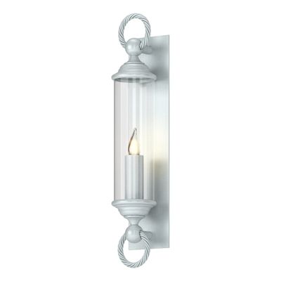 Cavo Large Outdoor Wall Sconce 1-Light Clear Glass (ZM) in