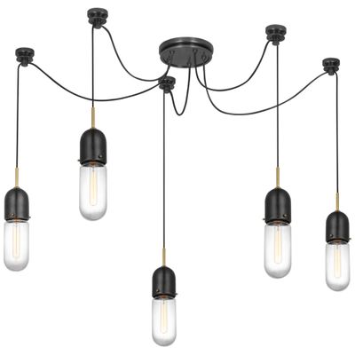 Thomas O'Brien Junio 5-Light Chandelier in Bronze and Brass with Clear Glass Ceiling Light W9.25